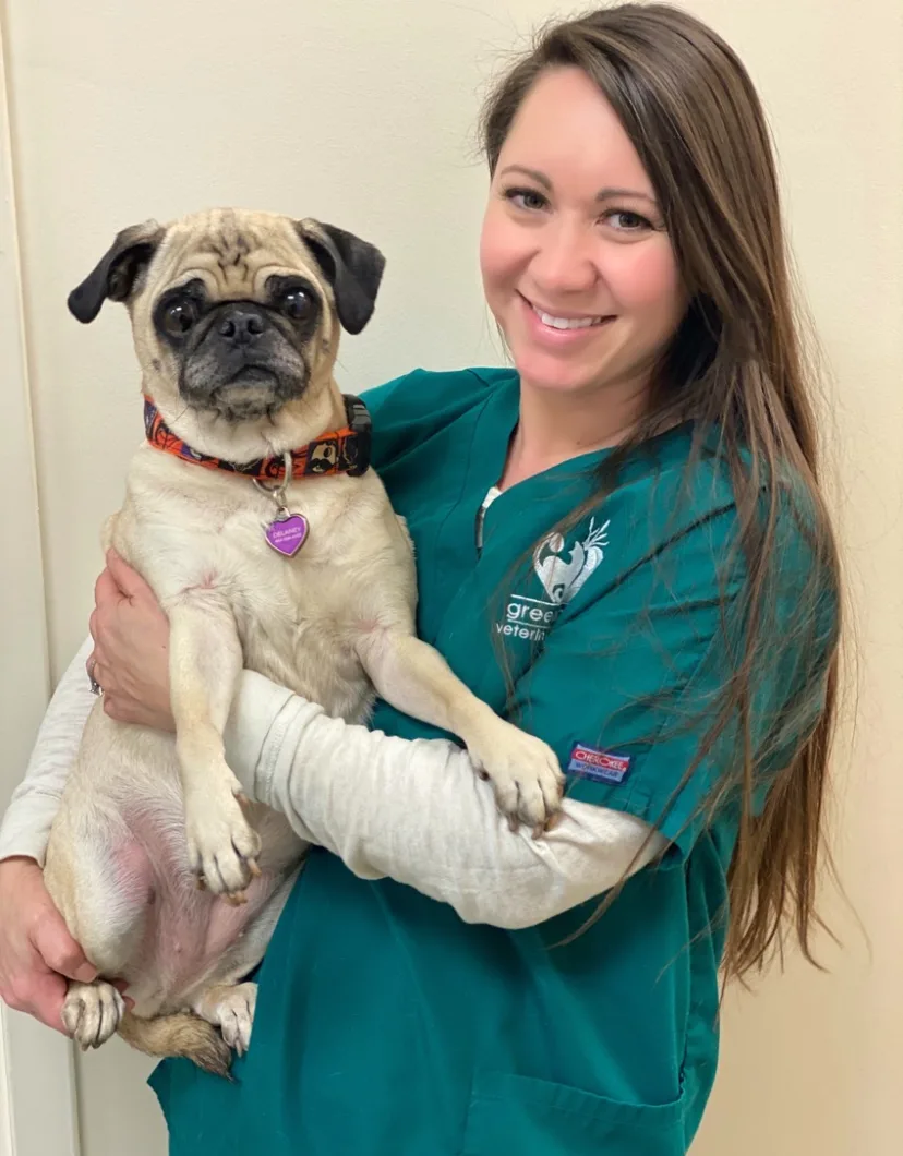 Greenbrier Veterinary Clinic Lindsay Delaney staff photo with her pug dog